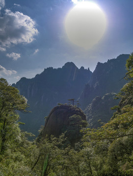 江西三清山山峰松树