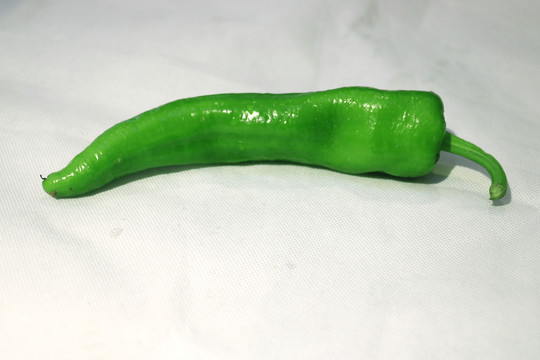 青椒辣椒