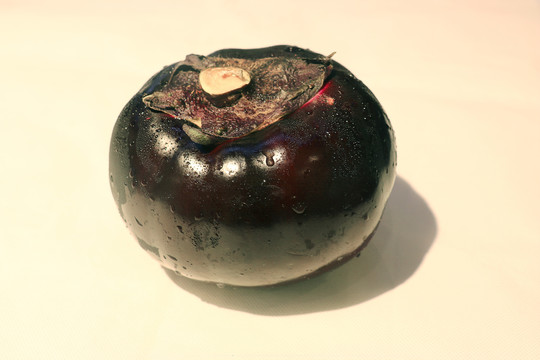 圆茄子