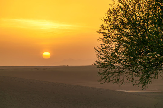 沙漠风光日出