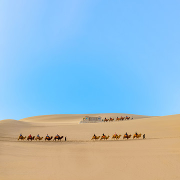 敦煌鸣沙山骆驼队