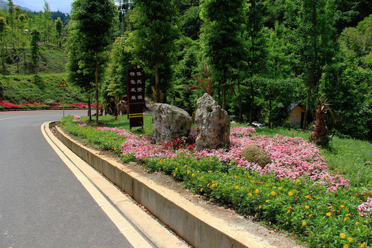 景观游道花卉种植