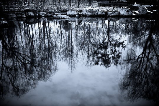冬天公园里的湖泊和树的倒影