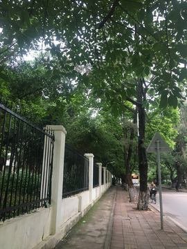 围栏边的人行道