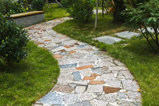 校园道路