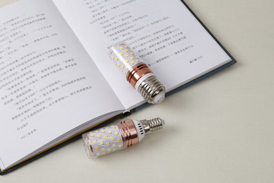 LED灯泡