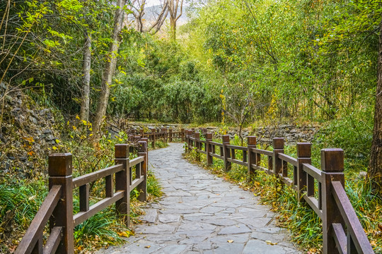 山林步道高清大图