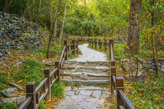 山林步道高清大图