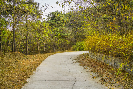 盘山公路高清大图