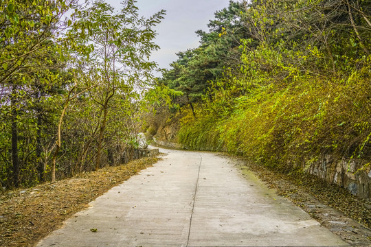 盘山公路高清大图