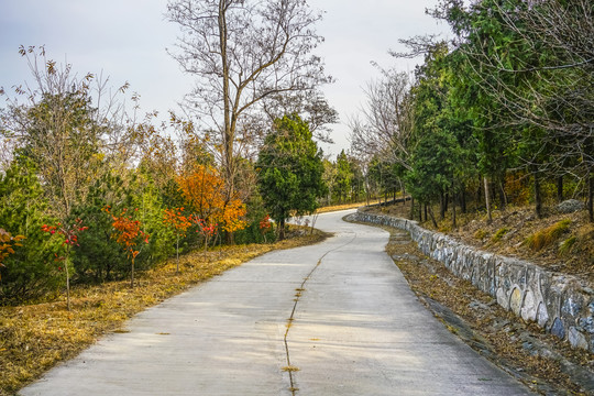 盘山公路高清大图