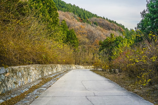 盘山公路高清大图