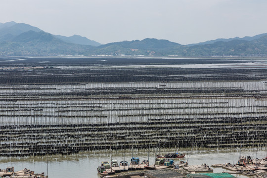 霞浦