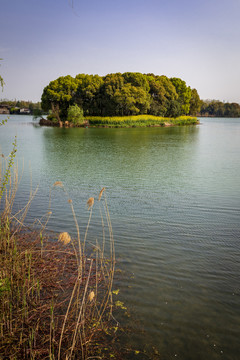 尚湖风景区湖中小岛
