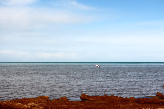 青海湖