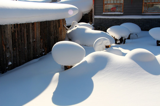 阳光下的雪乡雪景