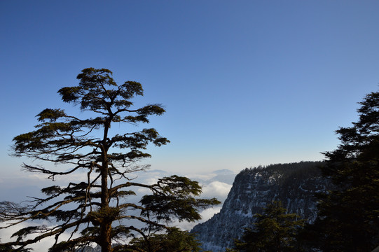 瓦屋山之巅