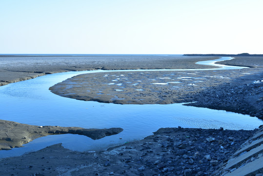 鸭绿江口湿地保护区