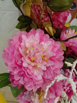牡丹花
