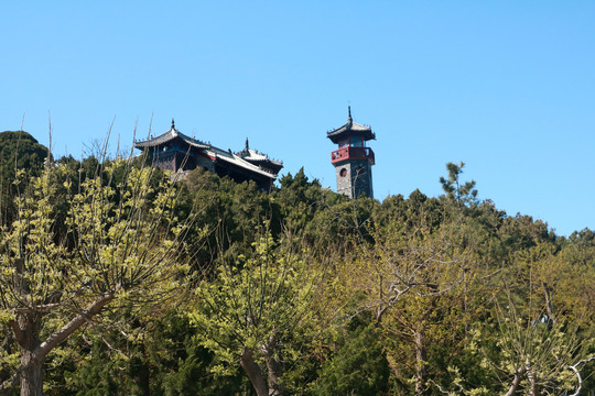 蓬莱阁
