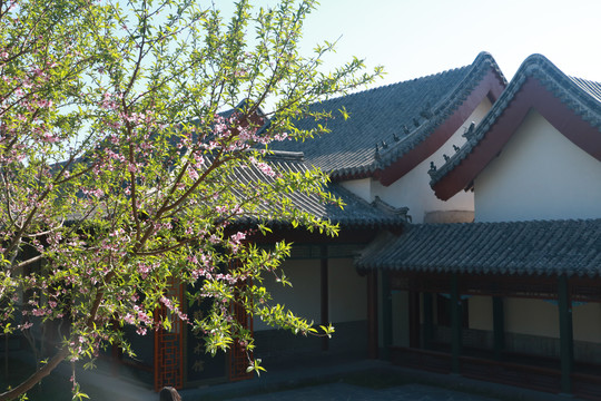 蓬莱阁