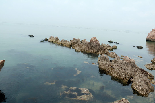 海岸