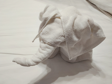 用毛巾折叠的大象