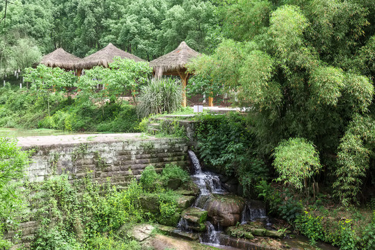 重庆九曲河湿地公园的自然环境