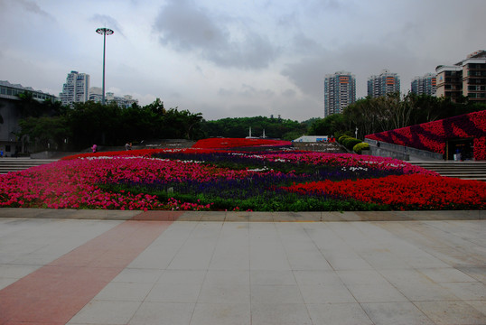 广场花卉