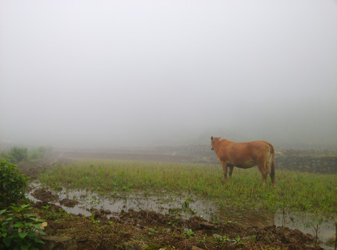 云南山水田园风光