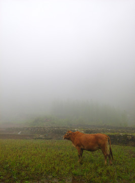 云南山水田园风光