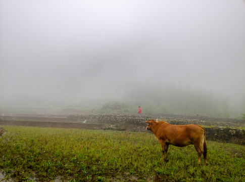 云南山水田园风光