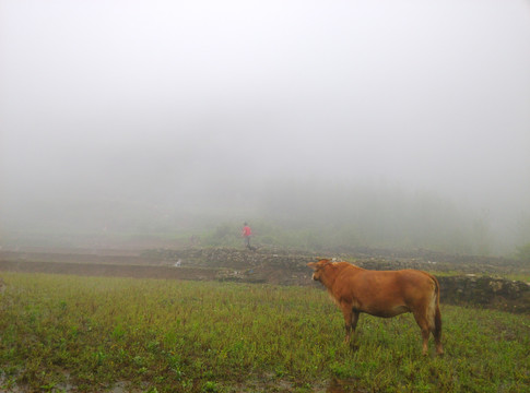 云南山水田园风光