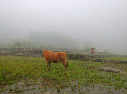 云南山水田园风光