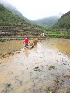 云南山水田园风光