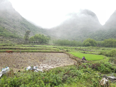 云南山水田园风光