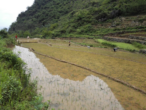 云南山水田园风光