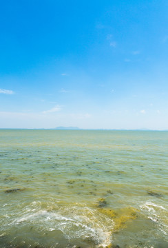 太湖景色