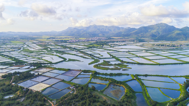 大地线条