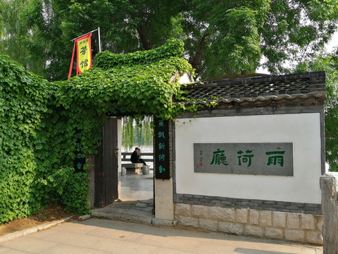 大明湖雨荷厅