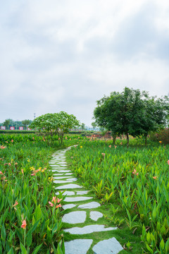 花园小区环境石头小路户外散步