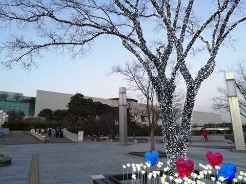 韩国国立中央博物馆园区灯光树