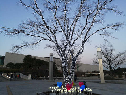 韩国国立中央博物馆灯光景观树