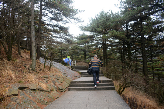 登山