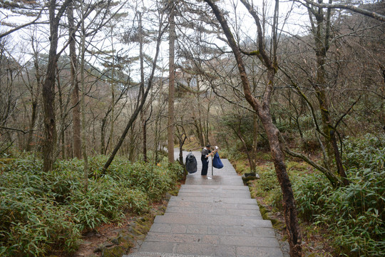 登山道