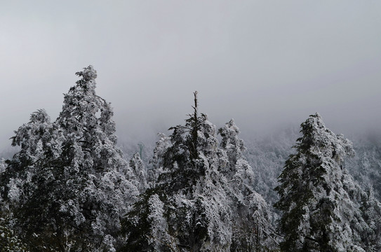 雪花漫天