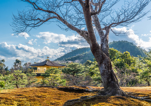 日本风光金阁寺