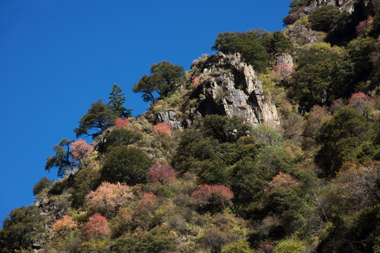 山脊