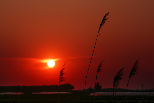 夕阳西下