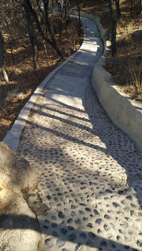 山路